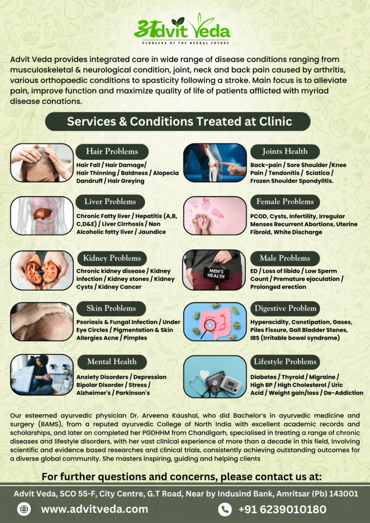 Advit Veda Services